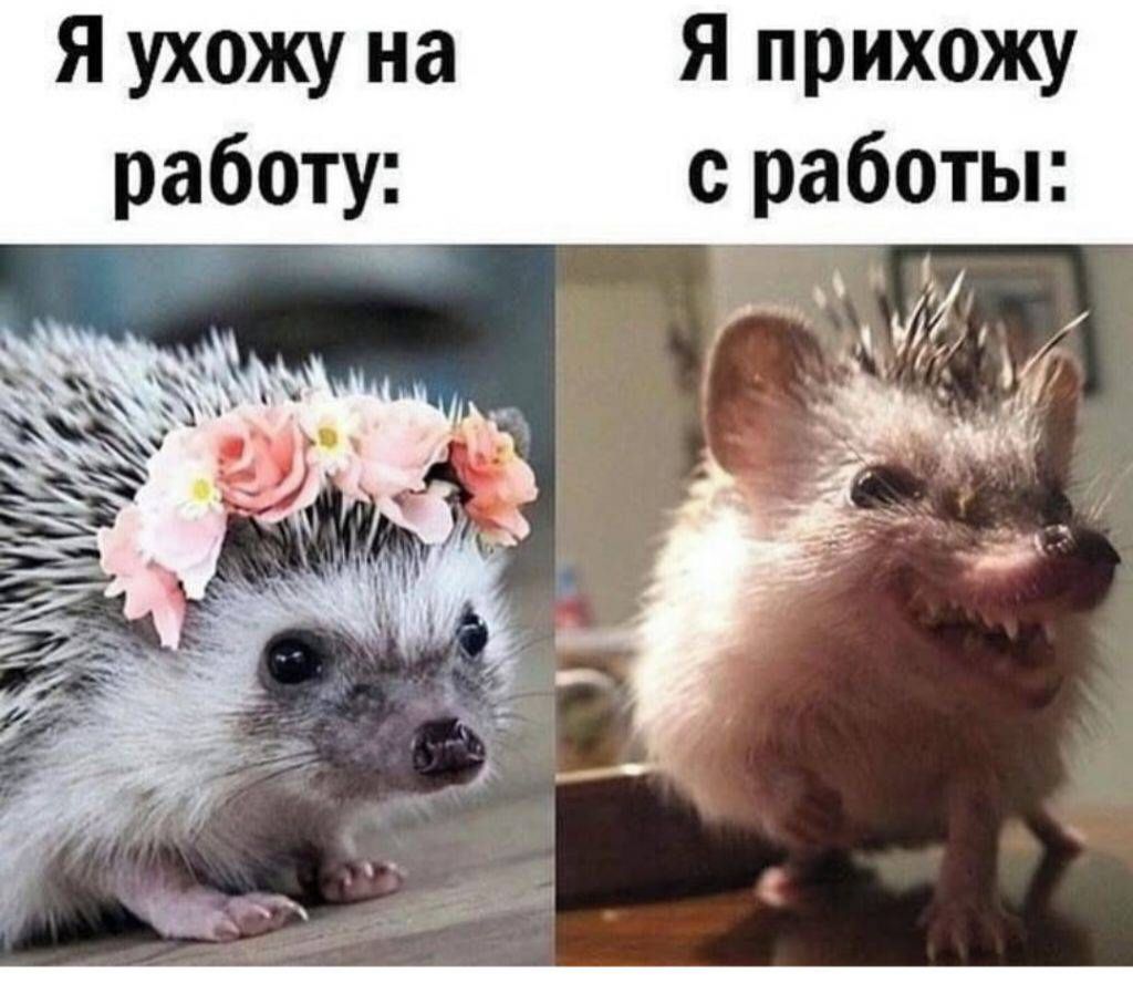 Я ухожу на работу:
Я прихожу с работы:
