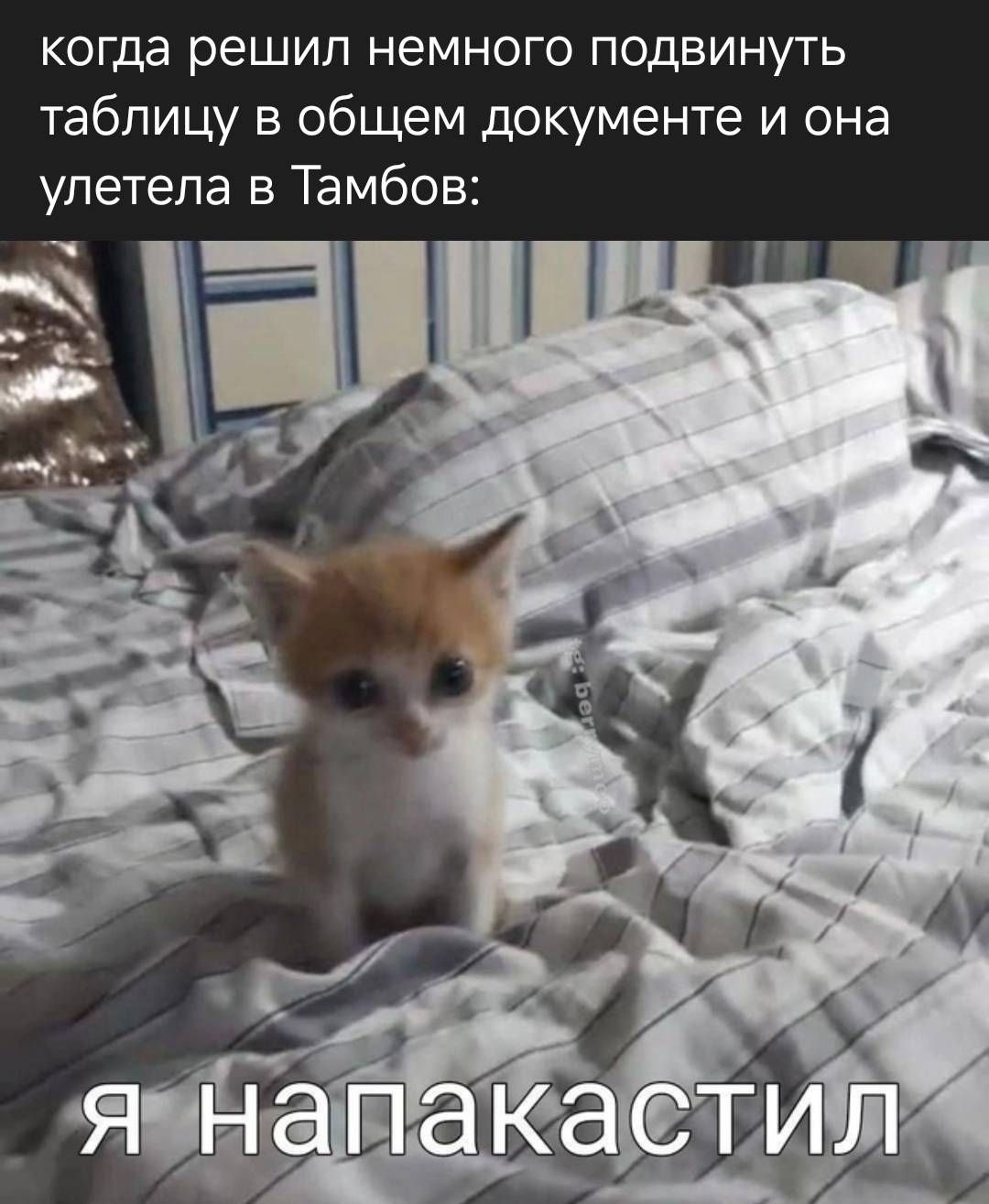 когда решил немного подвинуть таблицу в общем документе и она улетела в Тамбов:
я напакостил