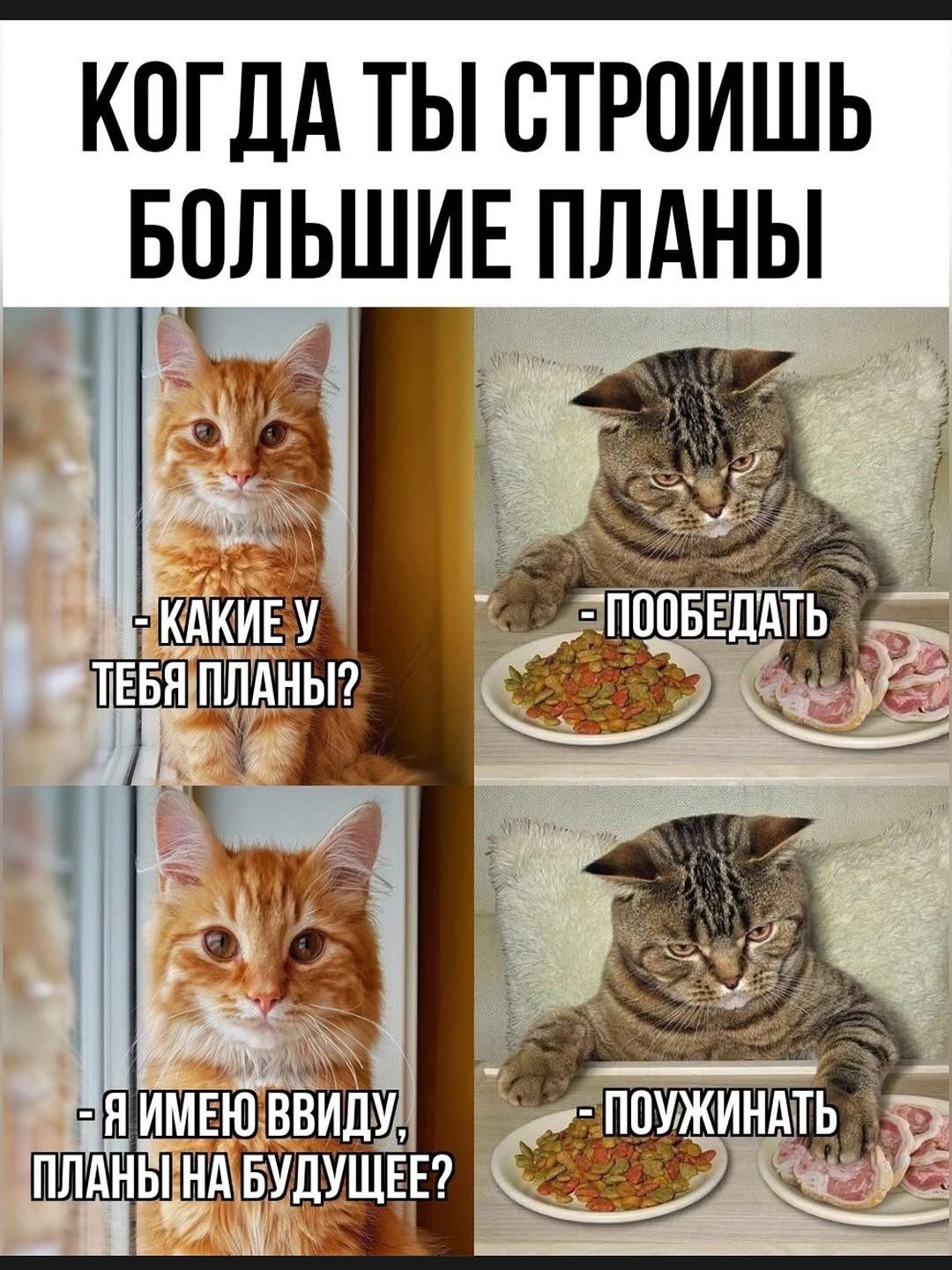 КОГДА ТЫ СТРОИШЬ БОЛЬШИЕ ПЛАНЫ
- КАКИЕ У ТЕБЯ ПЛАНЫ?
- ПООБЕДАТЬ
- Я ИМЕЮ ВВИДУ, ПЛАНЫ НА БУДУЩЕЕ?
- ПОЖУНАТЬ