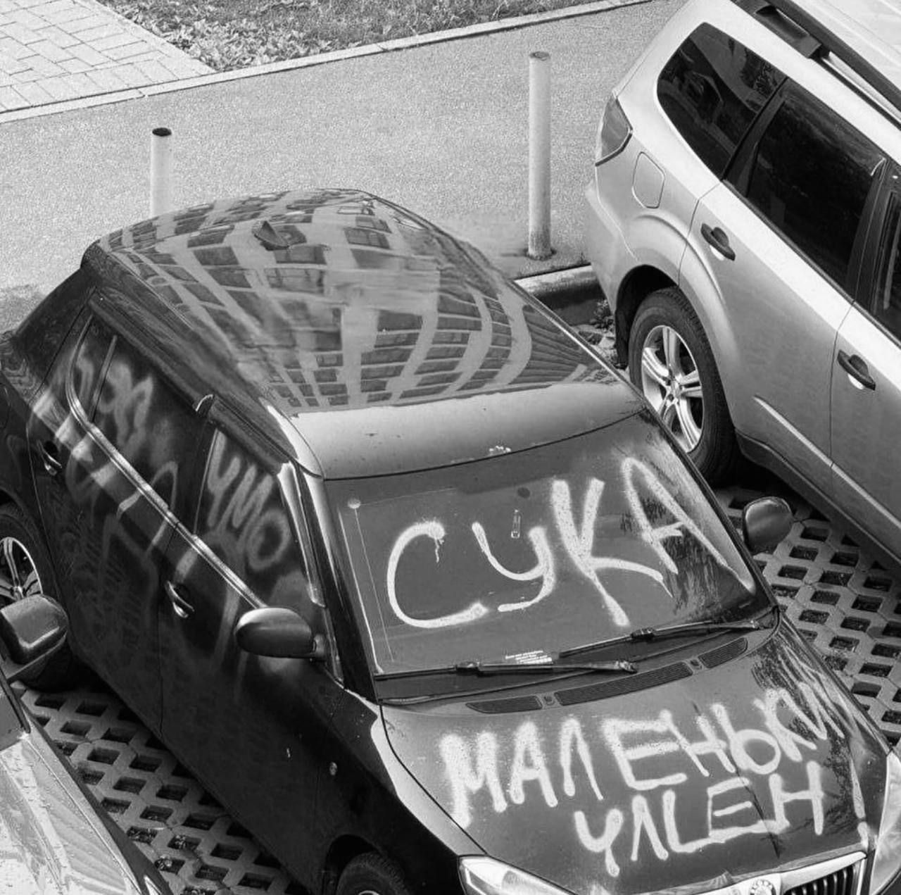 СУКА МАЛЕНЬМ УЛЕН