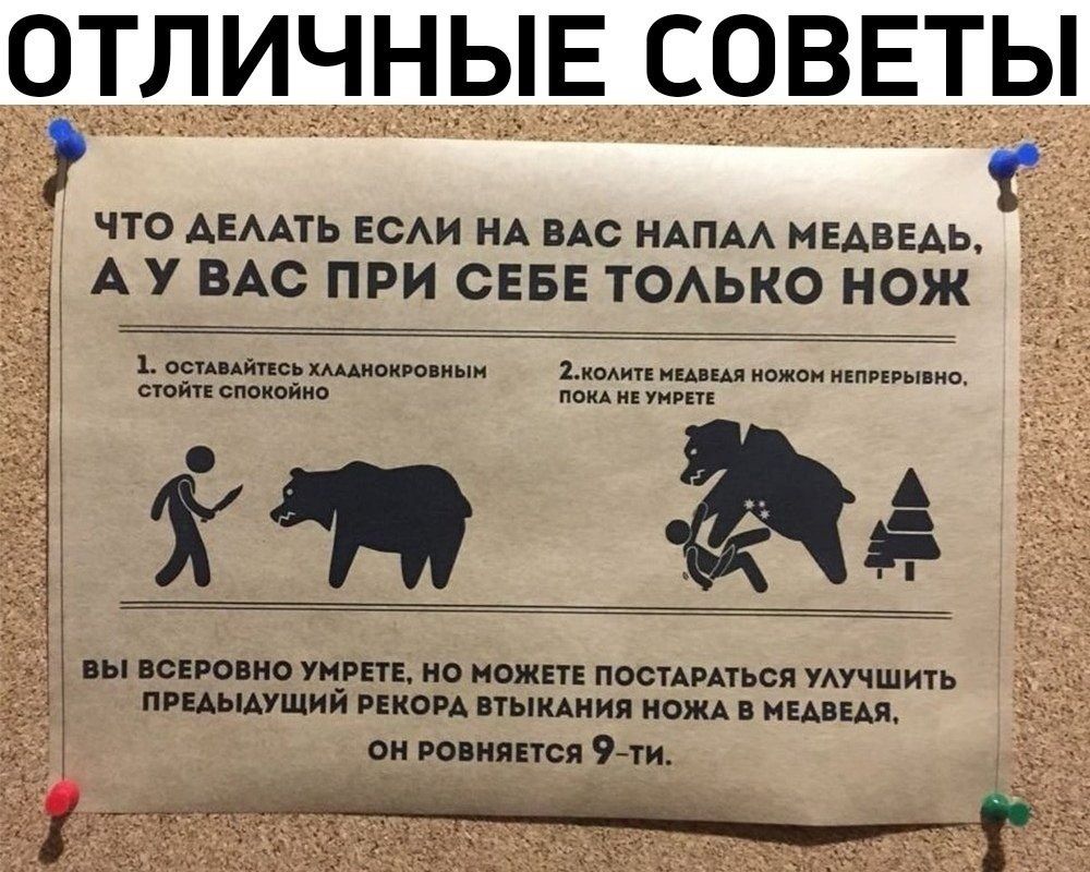 ОТЛИЧНЫЕ СОВЕТЫ
ЧТО ДЕЛАТЬ ЕСЛИ НА ВАС НАПАЛ МЕДВЕДЬ, А У ВАС ПРИ СЕБЕ ТОЛЬКО НОЖ
1. ОСТАВАЙТЕСЬ ХЛАДНОКРОВНЫМИ, СТОЙТЕ СПОКОЙНО
2. КОЛИТЕ МЕДВЕДЯ НОЖОМ НЕПРЕПИРНО, ПОКА НЕ УМРЕТЕ

ВЫ ВСЁ РАВНО УМРЁТЕ, НО МОЖЕТЕ ПОСТАРАТЬСЯ УЛУЧШИТЬ ПРЕДЫДУЩИЙ РЕКОРД ВТЫКАНИЯ НОЖА В МЕДВЕДЯ.
ОН РАВНЯЕТСЯ 9-ТИ.