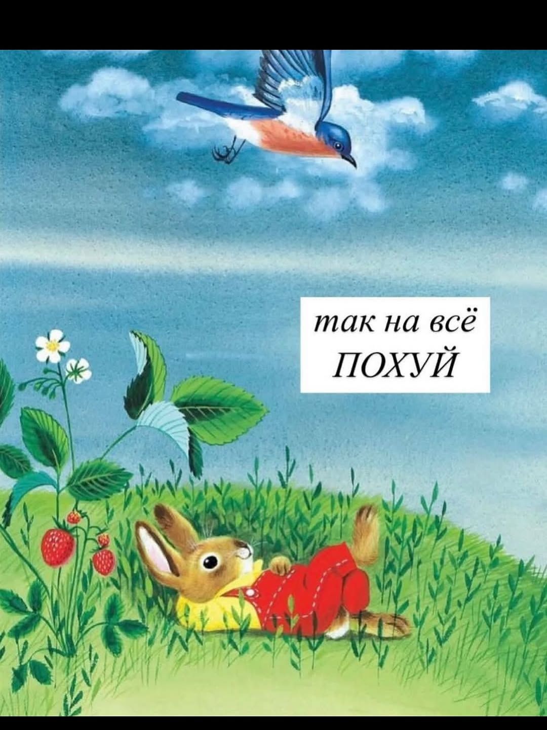 так на всё ПОХУЙ