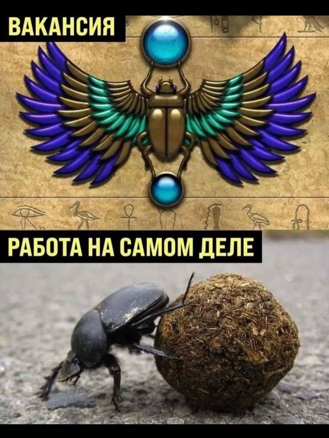 ВАКАНСИЯ
РАБОТА НА САМОМ ДЕЛЕ
