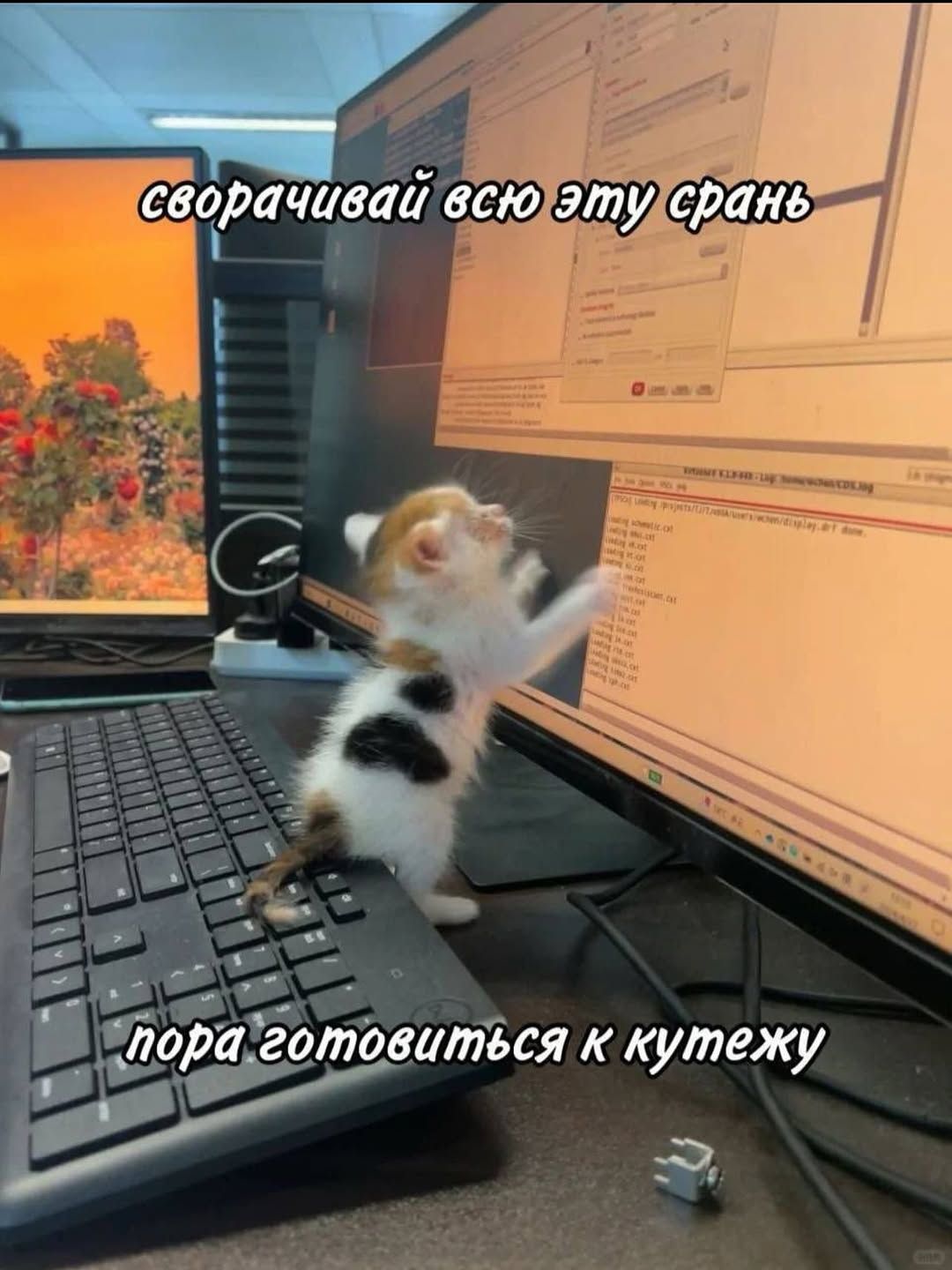 сворничай всю эту срань
пора готовиться к кутажу