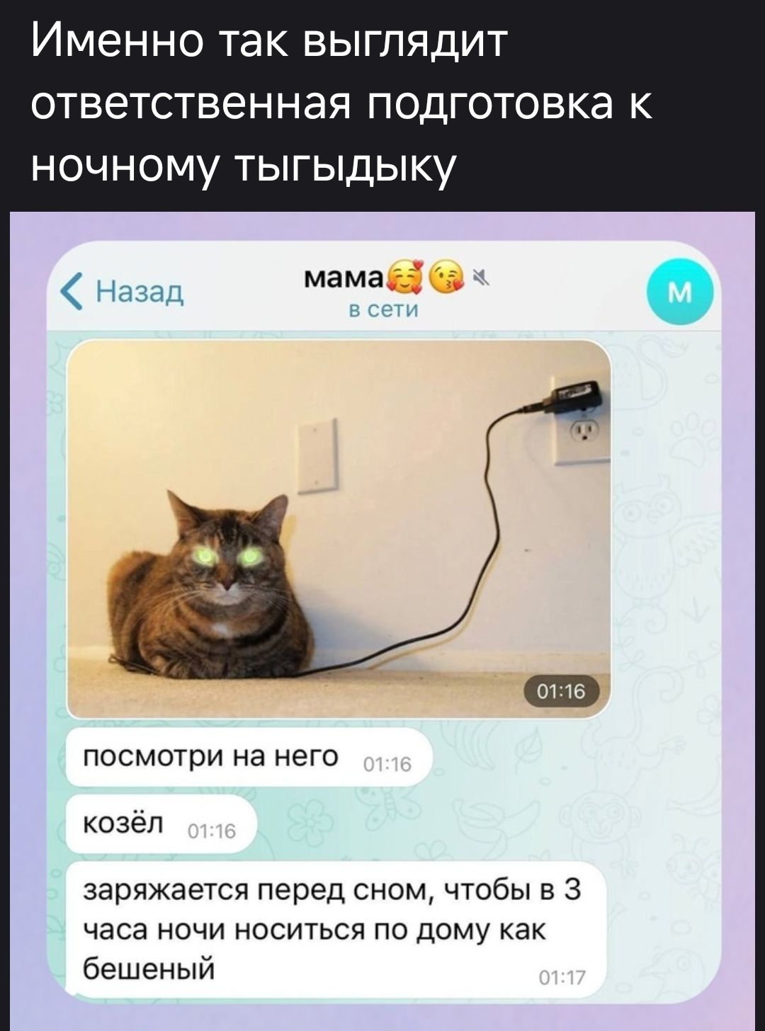 Именно так выглядит ответственная подготовка к ночному тыгыдыку
посмотри на него
козёл
заряжается перед сном, чтобы в 3 часа ночи носиться по дому как бешеный