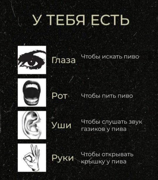 У ТЕБЯ ЕСТЬ
Глаза
Чтобы искать пиво
Рот
Чтобы пить пиво
Уши
Чтобы слушать звук газиков у пива
Руки
Чтобы открывать крышку у пива