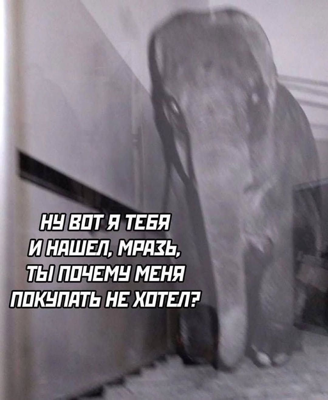 Ну вот я тебя и нашел, мразь, ты почему меня покупать не хотел?