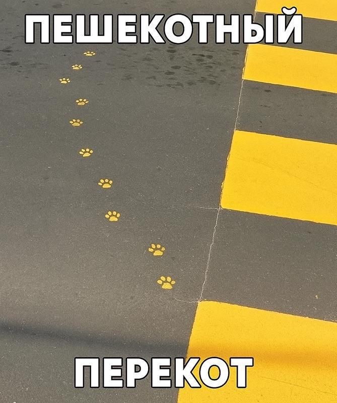 ПЕШЕКОТНЫЙ ПЕРЕКОТ