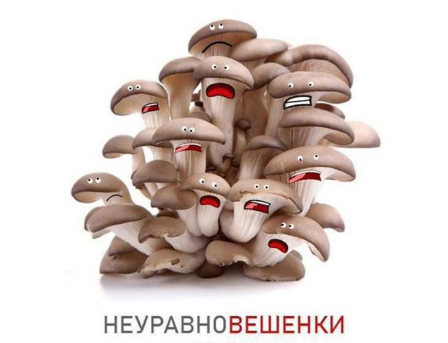 НЕУРАВНОВЕШЕНКИ