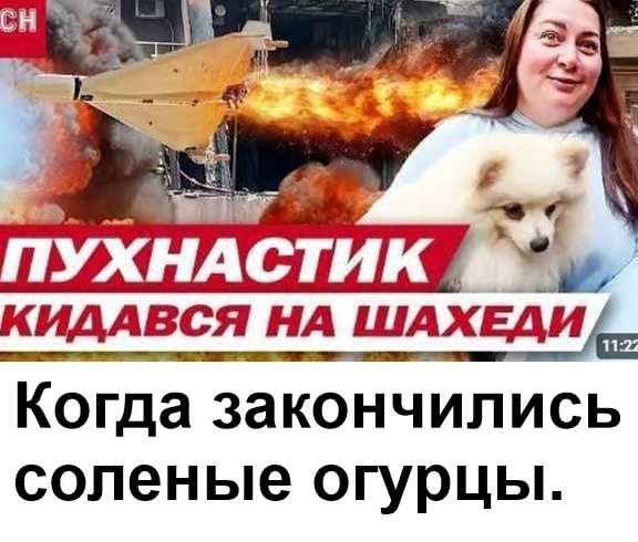 Пухнастик кидался на шахеди. Когда закончились соленые огурцы.