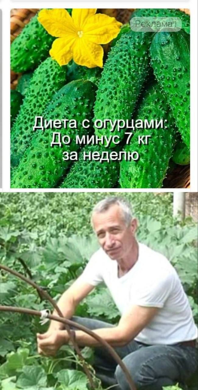 Диета с огурцами: До минус 7 кг за неделю