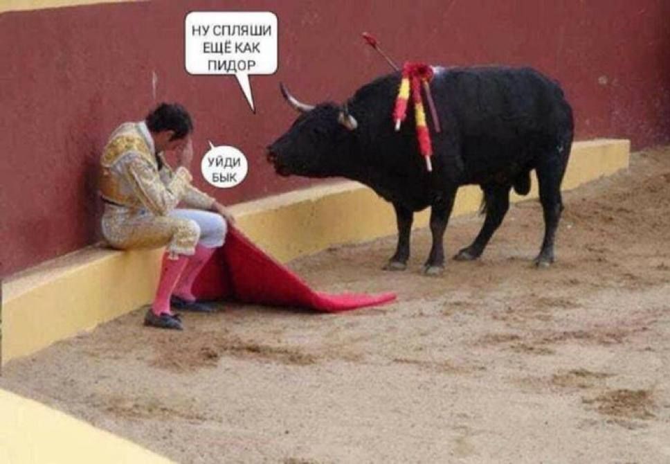 Ну спишь еще как пидор. Уйди бык.
