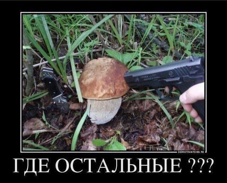 ГДЕ ОСТАЛЬНЫЕ ???