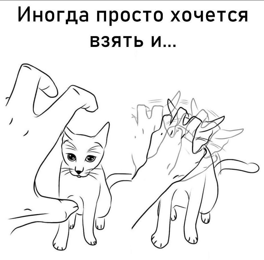 Иногда просто хочется взять и...