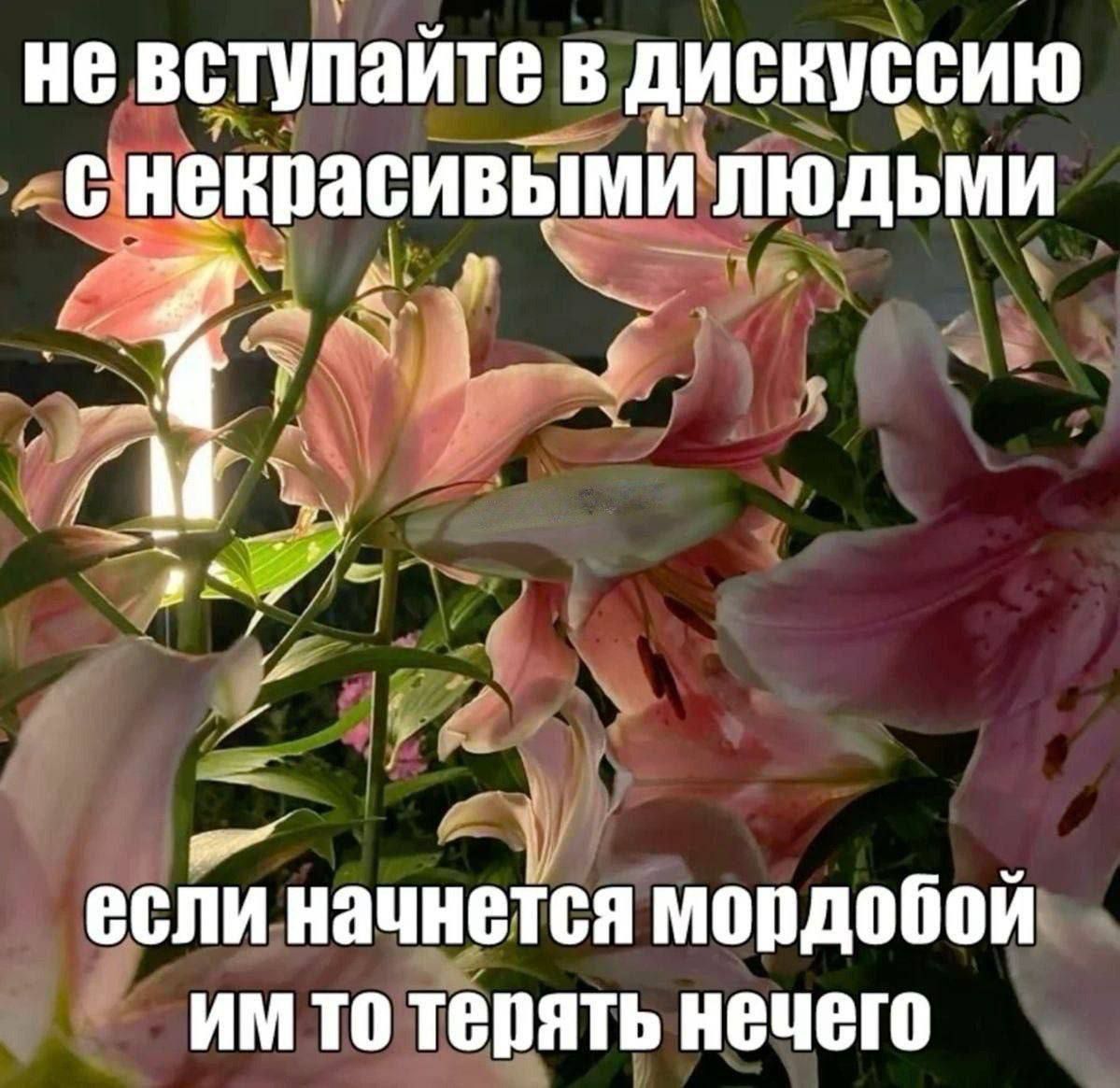 не вступайте в дискуссию с некрасивыми людьми
если начнётся мордобой им то терять нечего