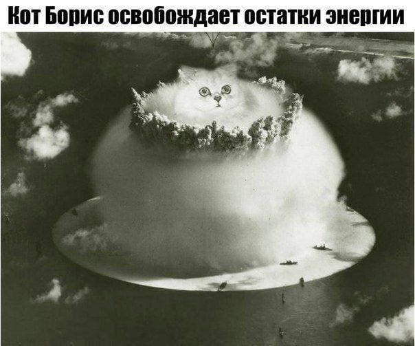Кот Борис освобождает остатки энергии