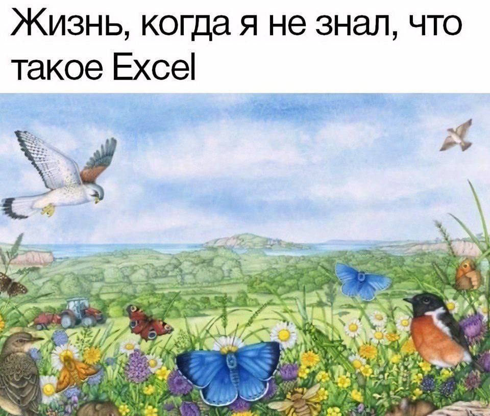 Жизнь, когда я не знал, что такое Excel