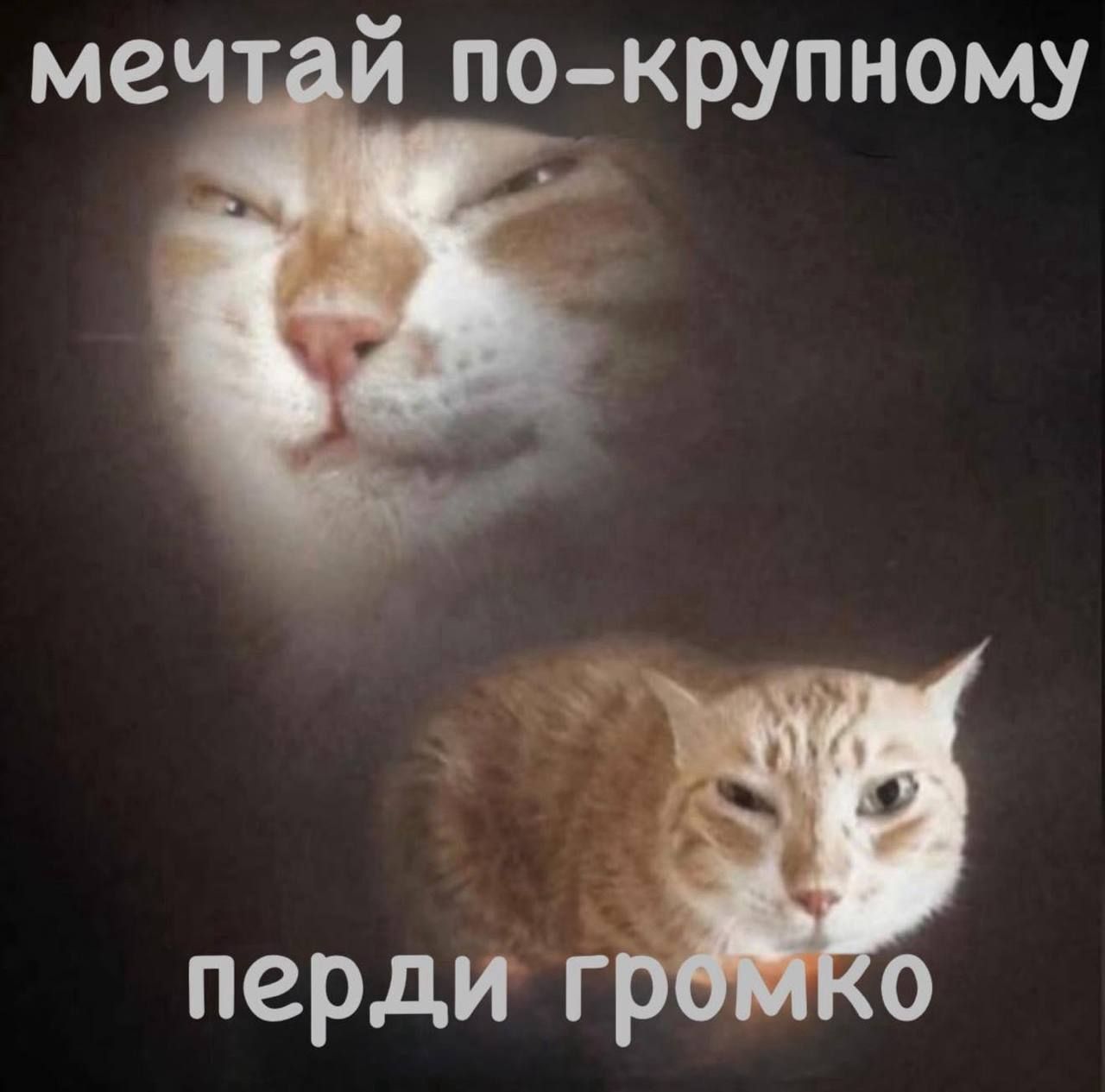 мечтай по-крупному
перди громко