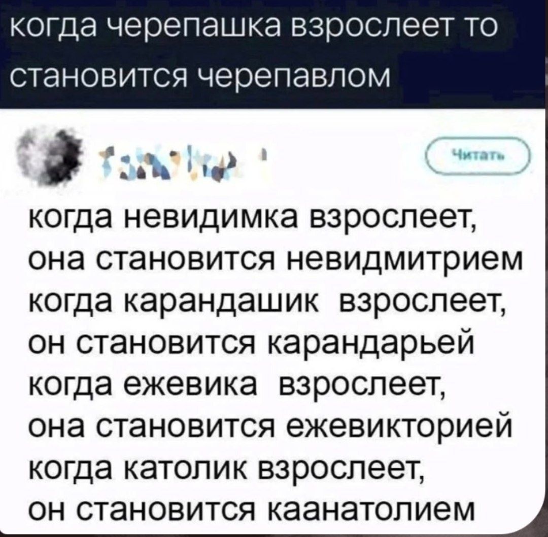 когда черепашка взрослеет то становится черепавлом

когда невидимка взрослеет, она становится невидмитрием
когда карандашик взрослеет, он становится карандарьей
когда ежевика взрослеет, она становится ежевикторией
когда католик взрослеет, он становится каанатолием