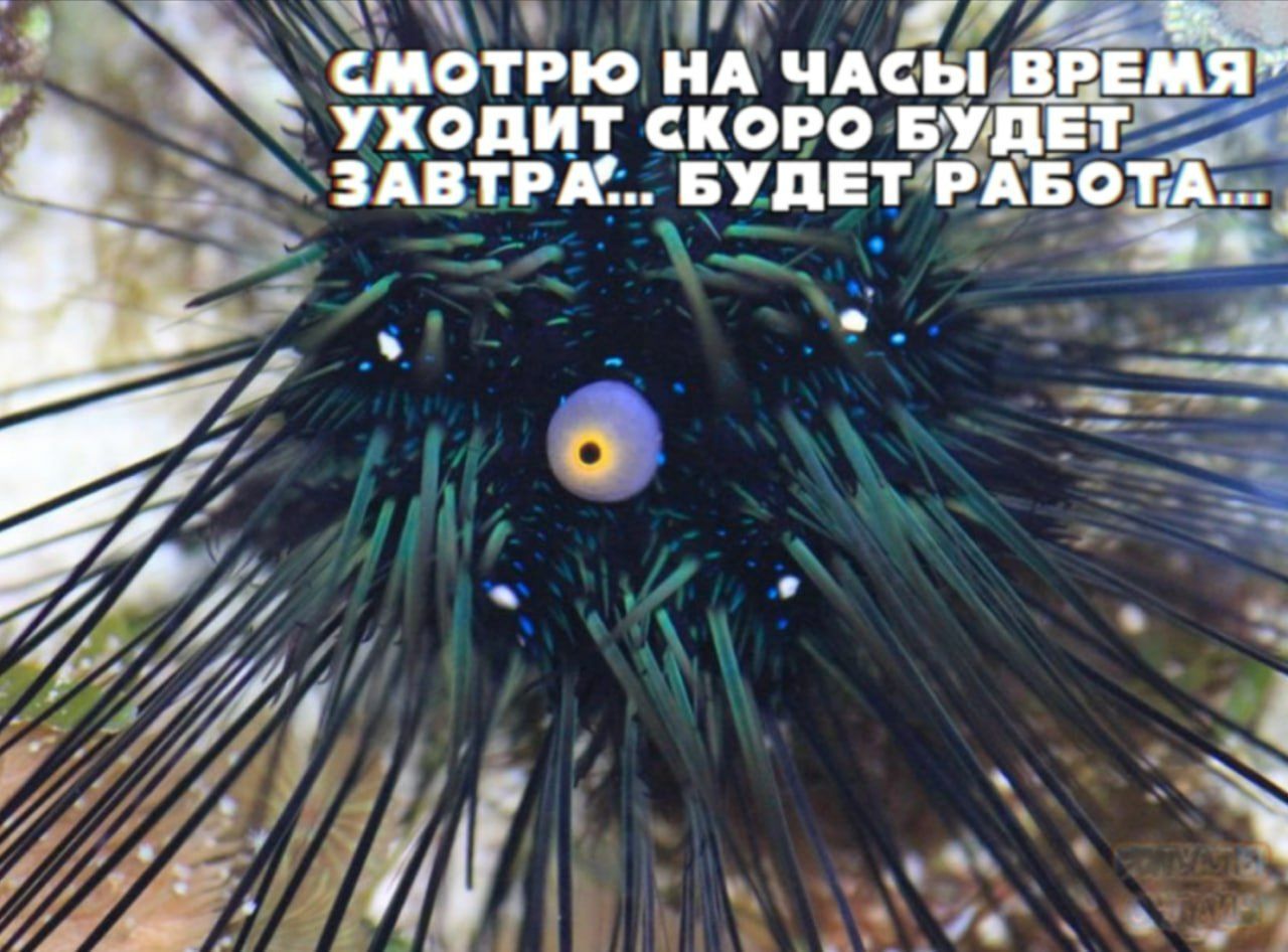 Смотрю на часы время уходит скоро будет завтра... будет работа...