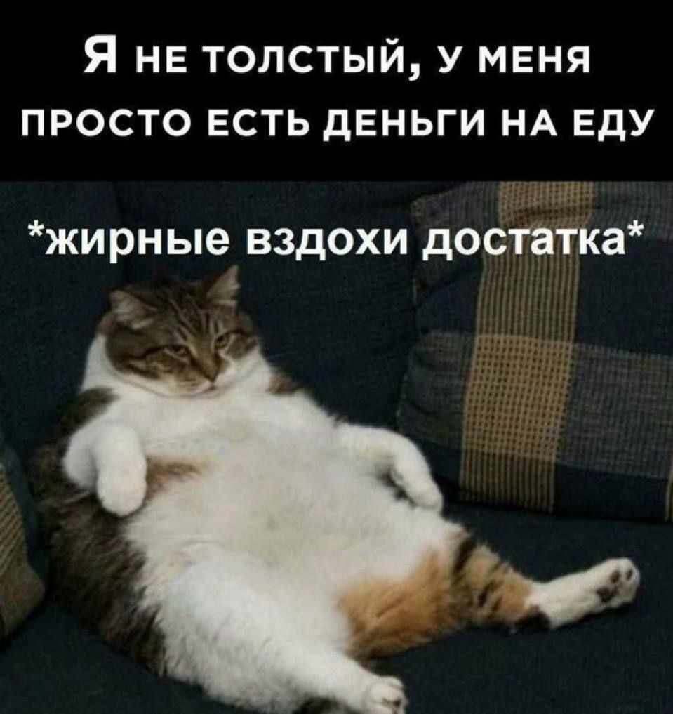 Я не толстый, у меня просто есть деньги на еду
*жирные вздохи достатка*