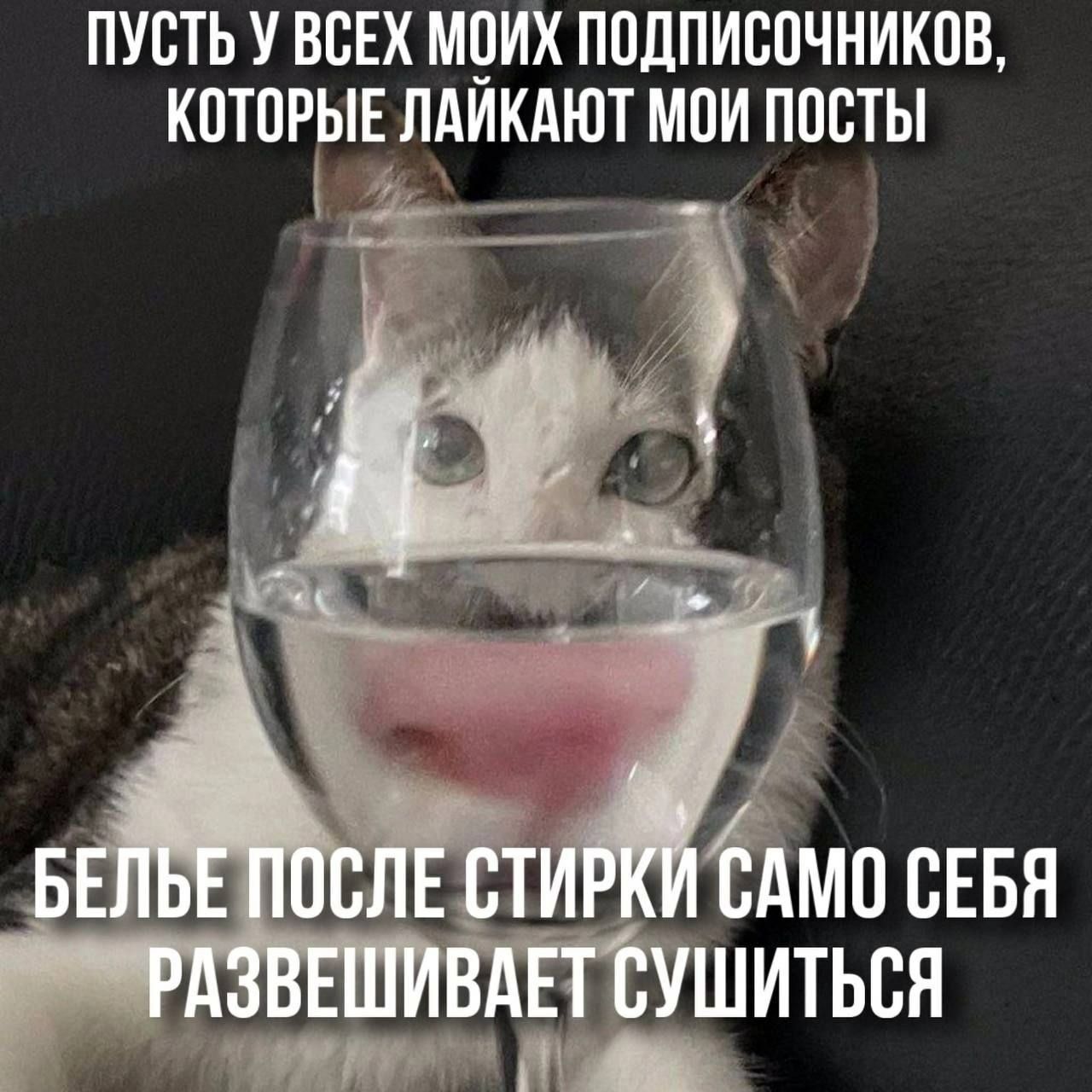 Пусть у всех моих подписчиков, которые лайкают мои посты. Белье после стирки само себя развешивает сушиться.