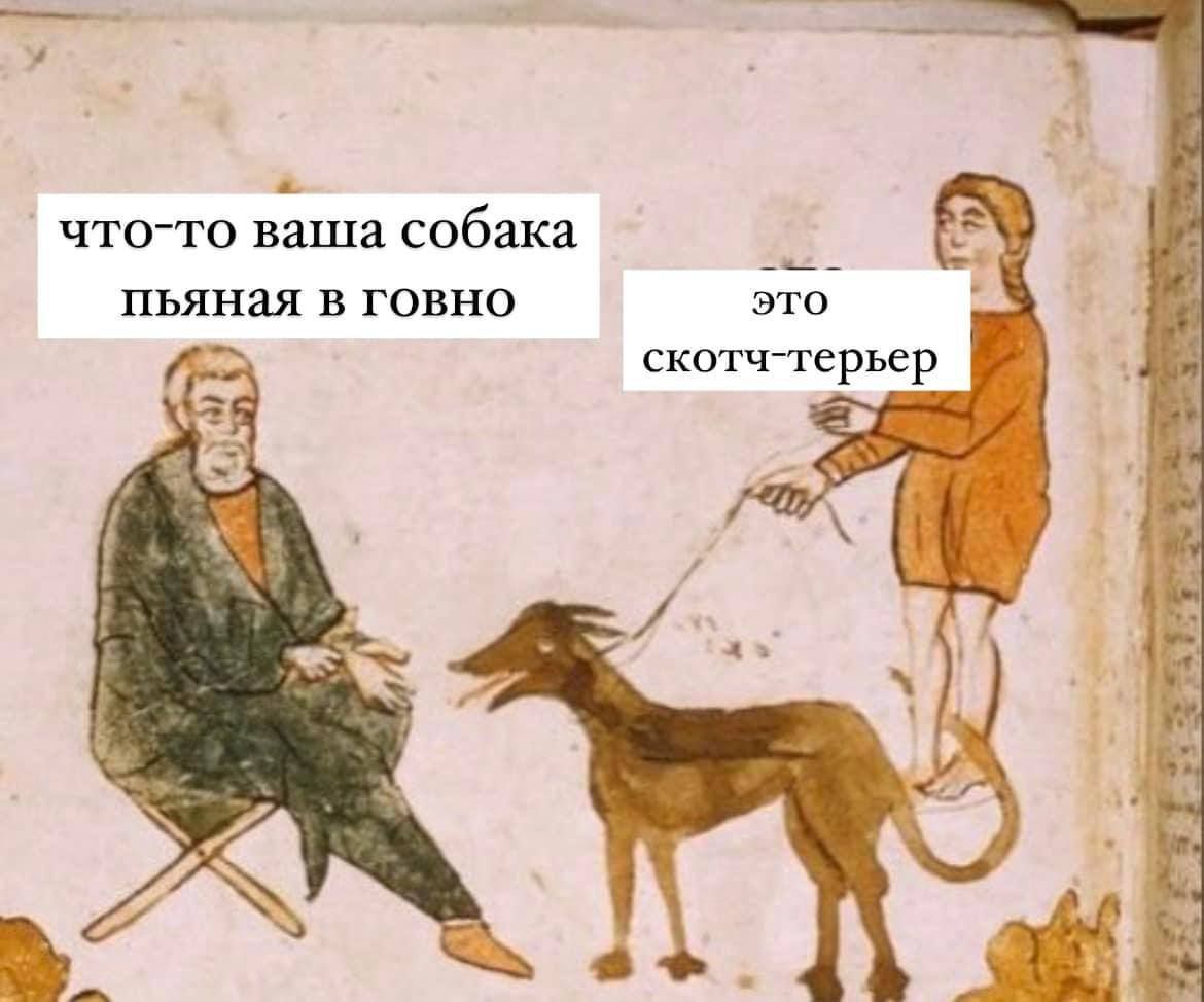 что-то ваша собака пьяная в говно
это скотч-терьер
