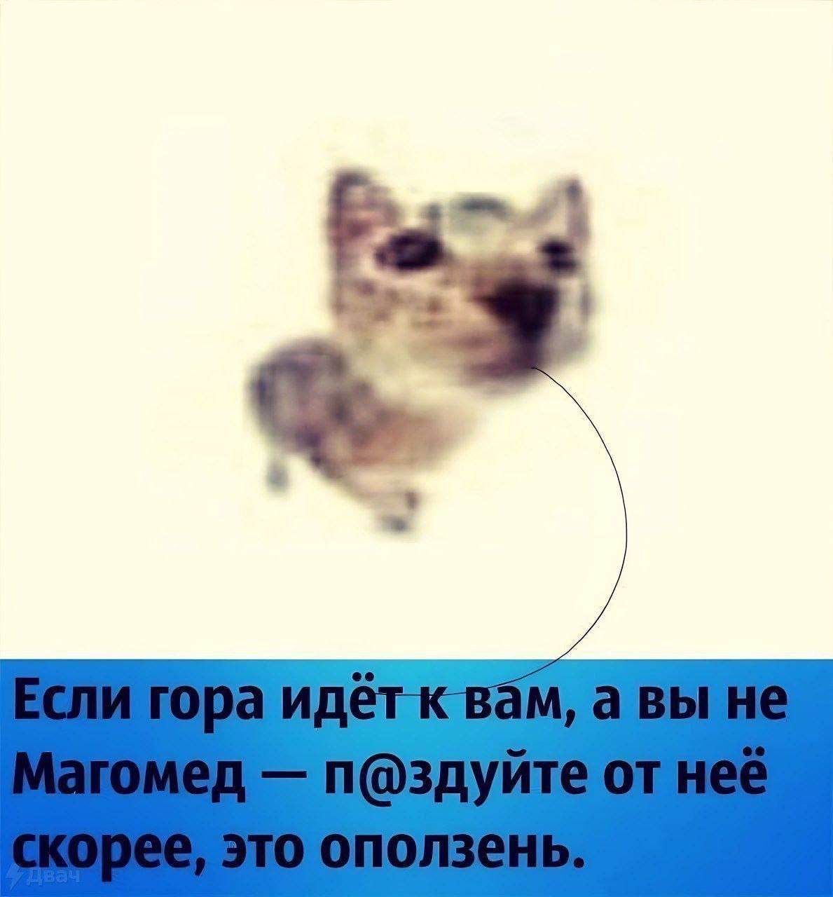 Если гора идёт к вам, а вы не Магомед — п@здуйте от неё скорее, это опоздень.