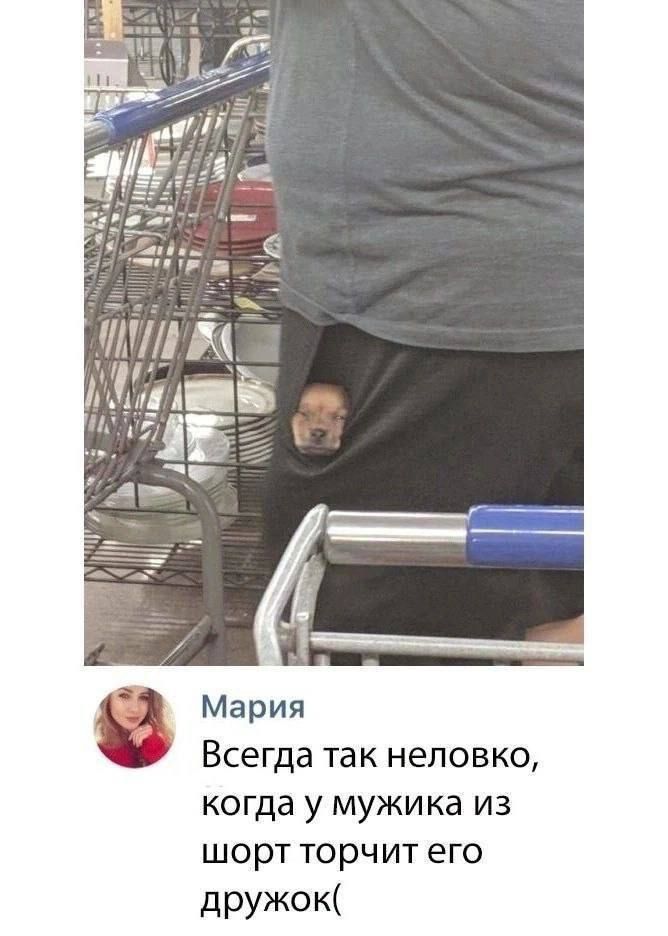 Всегда так неловко, когда у мужика из шорт торчит его дружок(
