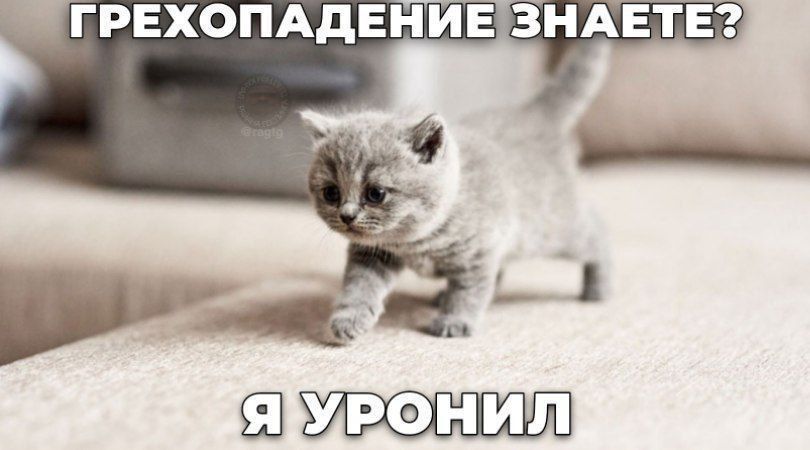 ГРЕХОПАДЕНИЕ ЗНАЕТЕ? Я УРОНИЛ
