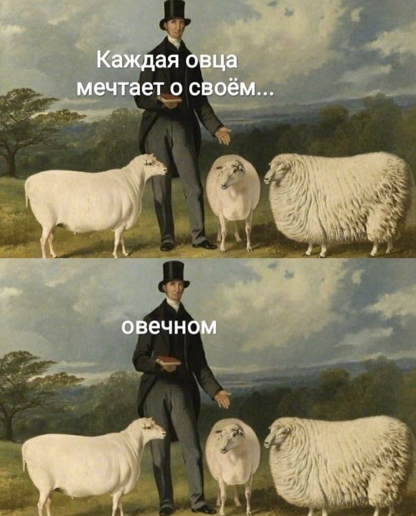 Каждая овца мечтает о своём...
овечном