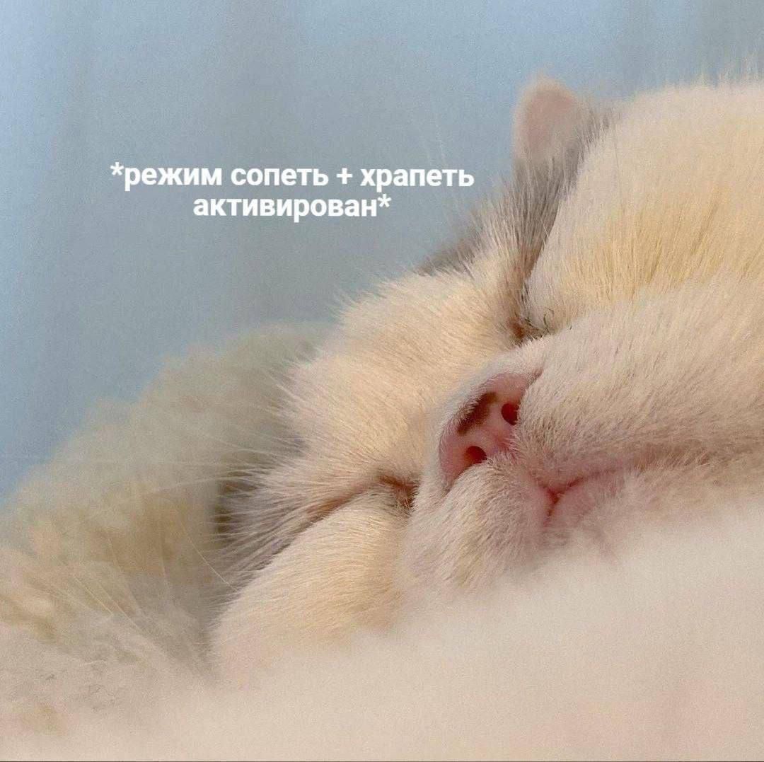 *режим сопеть + храпеть активирован*