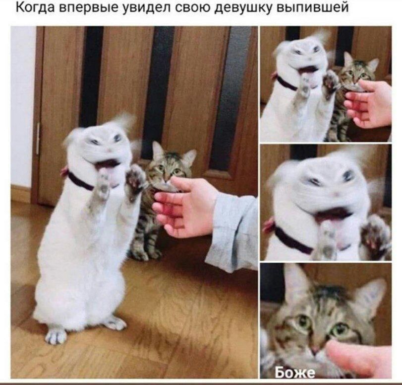 Когда впервые увидел свою девушку выпившей. Бога.