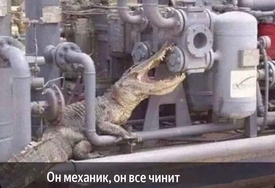 Он механик, он все чинит