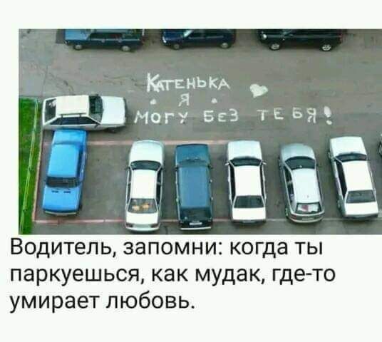 Котенку, я могу без тебя! Водитель, запомни: когда ты паркуешься, как мудак, где-то умирает любовь.