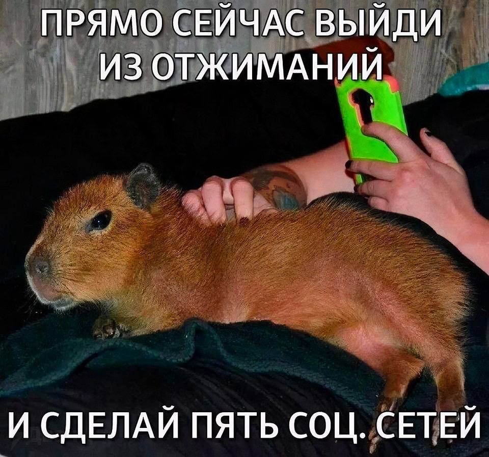 ПРЯМО СЕЙЧАС ВЫЙДИ ИЗ ОТЖИМАНИЙ И СДЕЛАЙ ПЯТЬ СОЦ. СЕТЕЙ