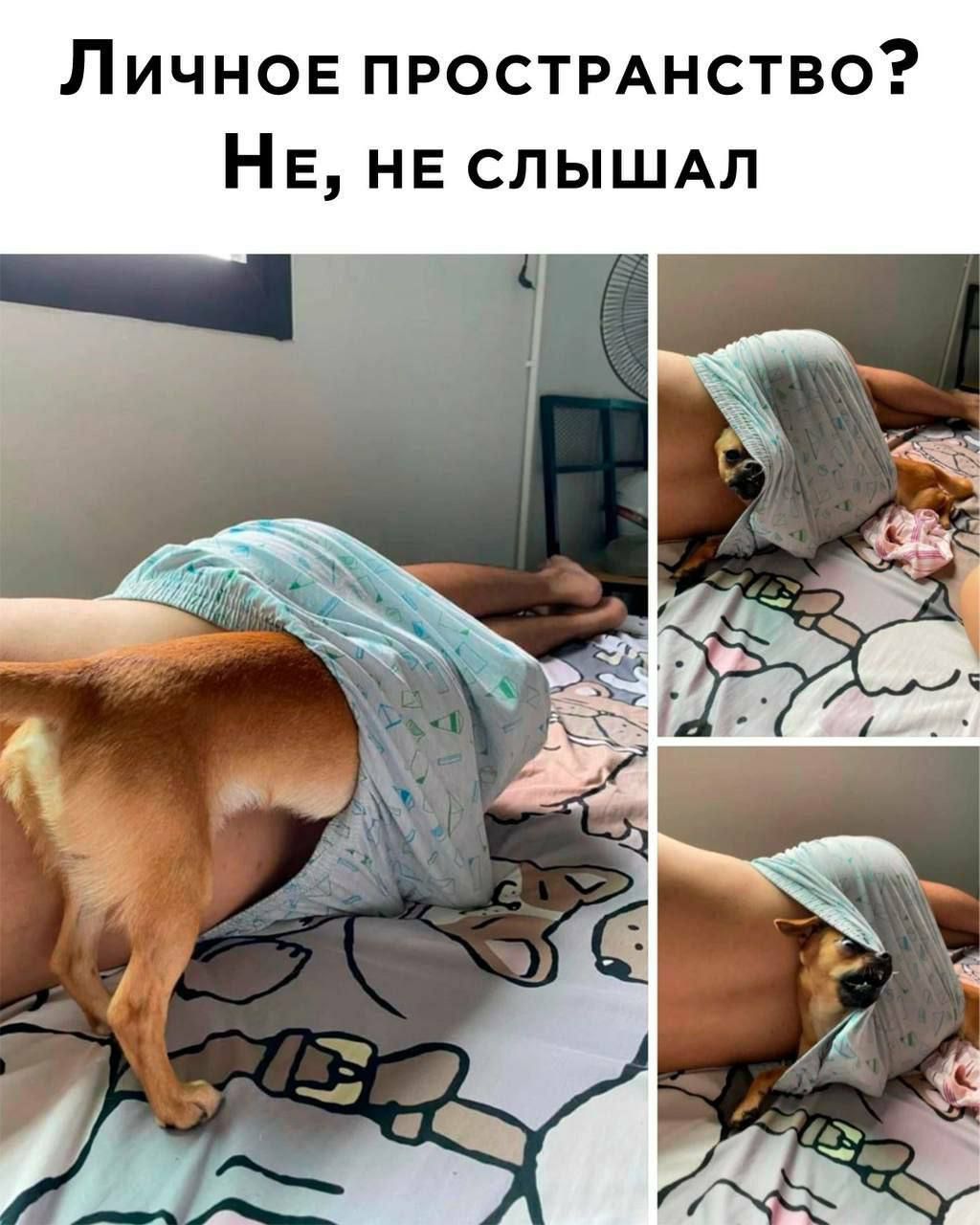 Личное пространство? Не, не слышал