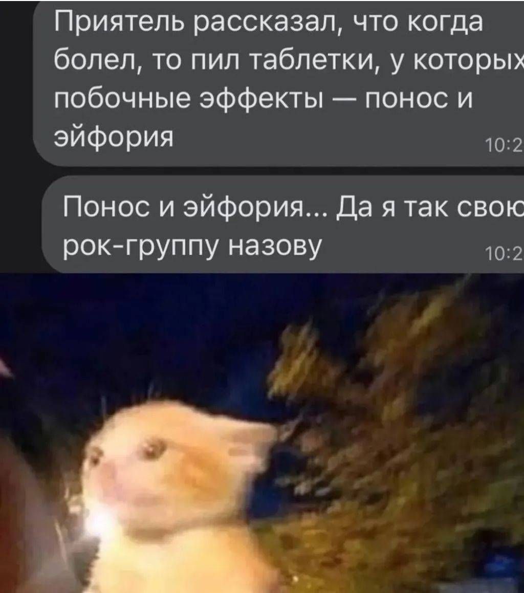 Приятель рассказал, что когда болел, то пил таблеточки, у которых побочные эффекты — понос и эйфория
Понос и эйфория... Да я так свою рок-группу назову