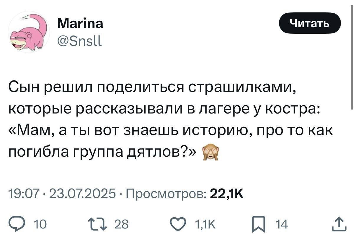 Сын решил поделиться страшилками, которые рассказывали в лагере у костра: «Мам, а ты вот знаешь историю, про то как погибла группа дятлов?» 🤔