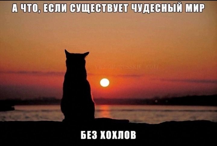А что, если существует чудесный мир без хохлов
