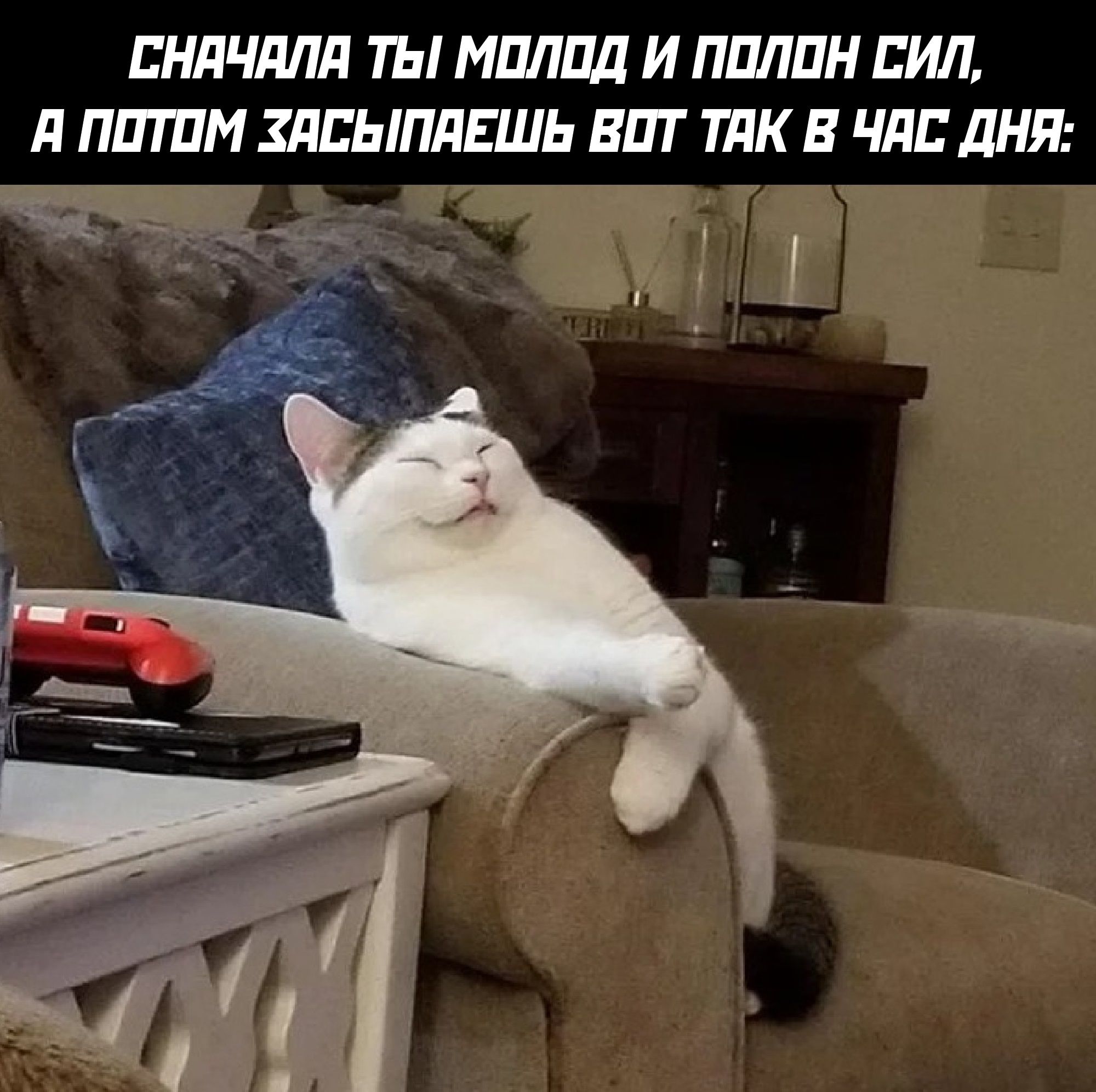 Сначала ты молод и полон сил, а потом засыпаешь вот так в час дня: