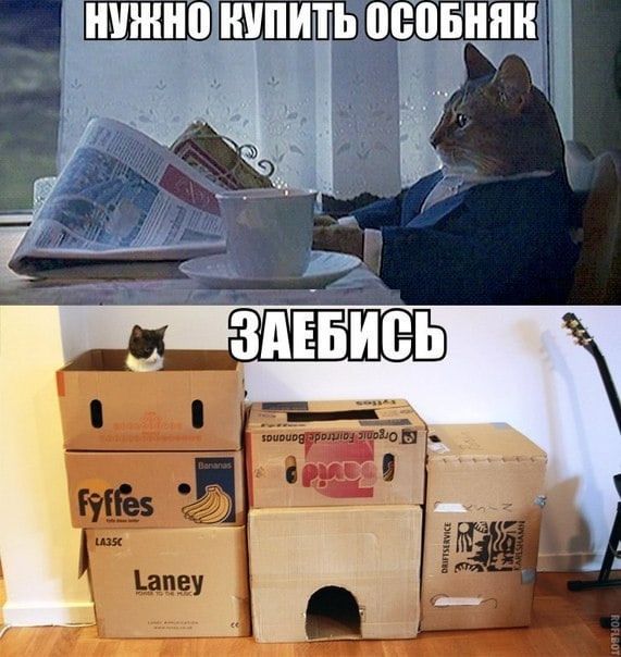 НУЖНО КУПИТЬ ОСОБНЯК
ЗАЕБИСЬ