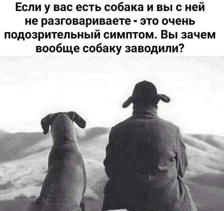 Если у вас есть собака и вы с ней не разговариваете - это очень подозрительный симптом. Вы зачем вообще собаку завели?