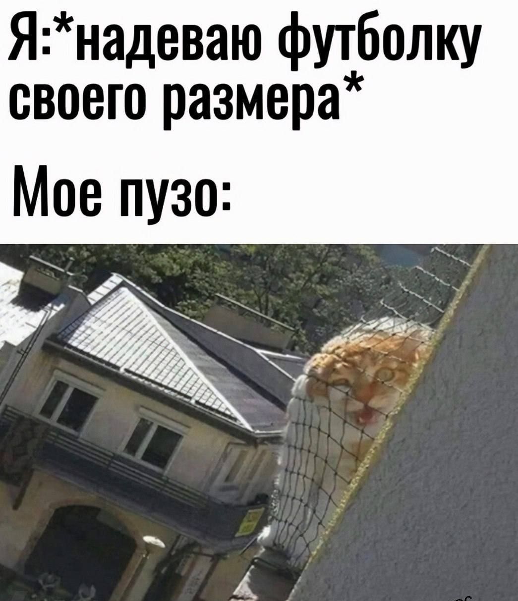 Я:*надеваю футболку своего размера*
Мое пузо: