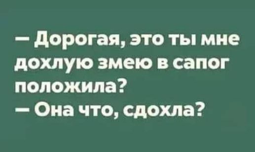 — Дорогая, это ты мне дохлую змею в сапог положила? — Она что, сдохла?
