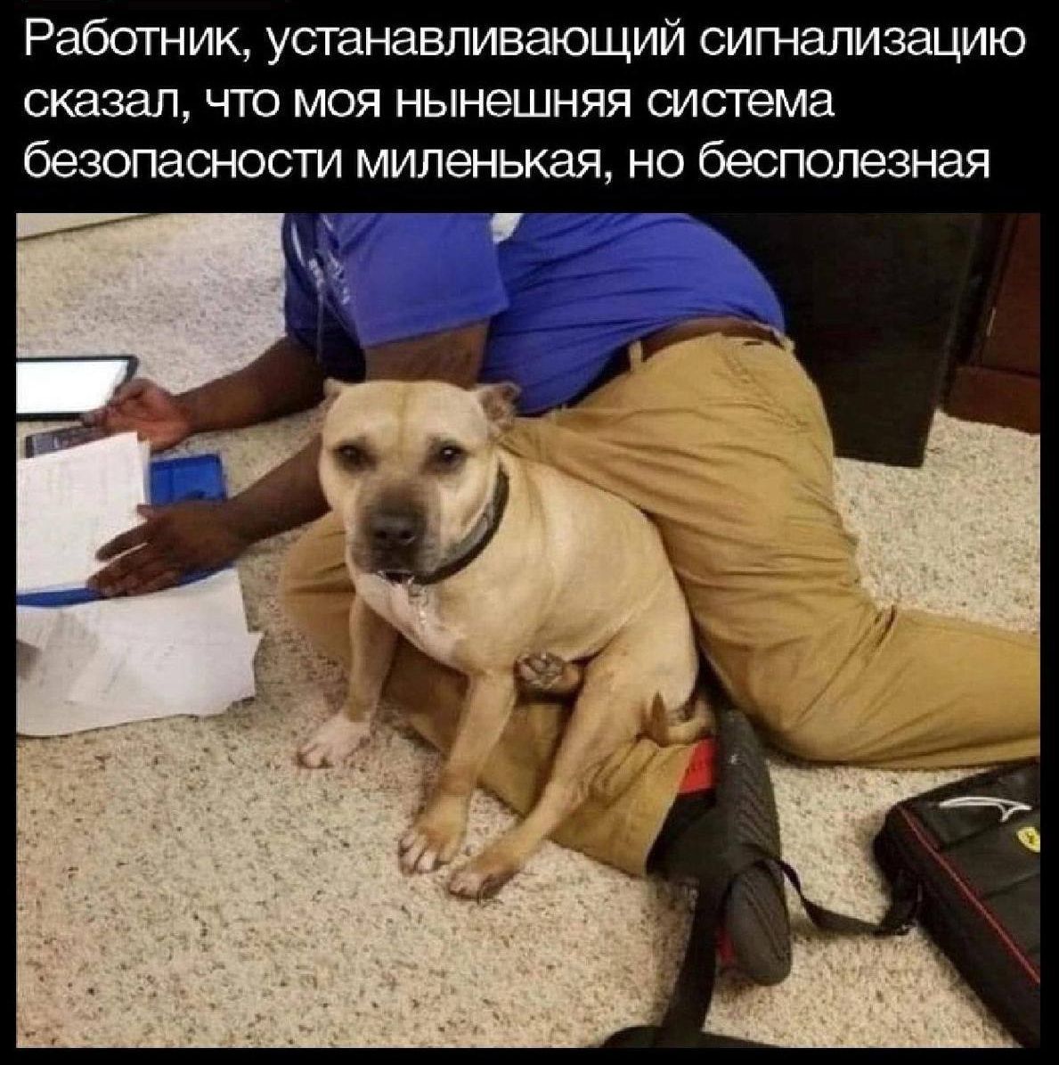 Работник, устанавливающий сигнализацию сказал, что моя нынешняя система безопасности миленькая, но бесполезная
