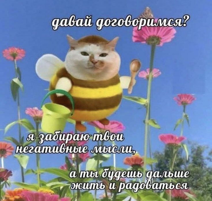 давай договоримся? я забираю твои негативные мысли, а ты будешь дальше жить и радоваться