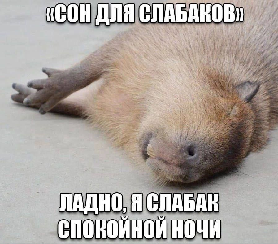«СОН ДЛЯ СЛАБАКОВ» ЛАДНО, Я СЛАБАК СПОКЙНОЙ НОЧИ