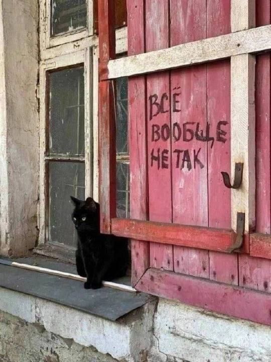 ВСЁ ВООБЩЕ НЕТАК