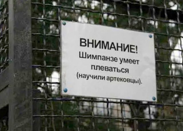 ВНИМАНИЕ! Шимпанзе умеет плеваться (научили артецовцы).